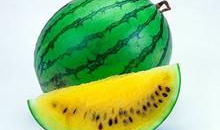 吃瓜网爆料无码吃瓜第一页