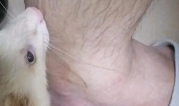 黄黄的视频,揭秘生活百态，笑对人生